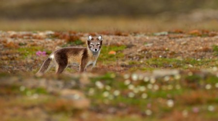 Cytat z Biblii dla ciebie na dziś
16 listopada