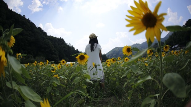 Kobieta na polu słoneczników