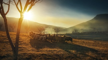 Cytat z Biblii dla ciebie na dziś
17 listopada