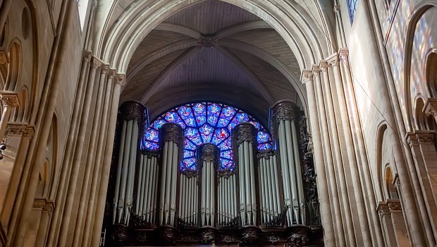 Wybudzenie organów kościelnych