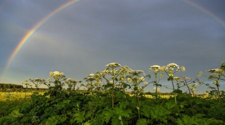 Cytat z Biblii dla ciebie na dziś 
 10 grudnia