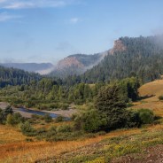 Stickers Item image #3