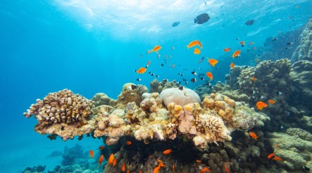 Cytat z Biblii dla ciebie na dziś 
 7 grudnia