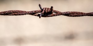Dziewczynka uznana w Auschwitz za zmarłą, odnaleziona po 81 latach
