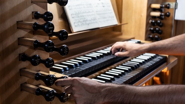 Wybudzenie organów kościelnych