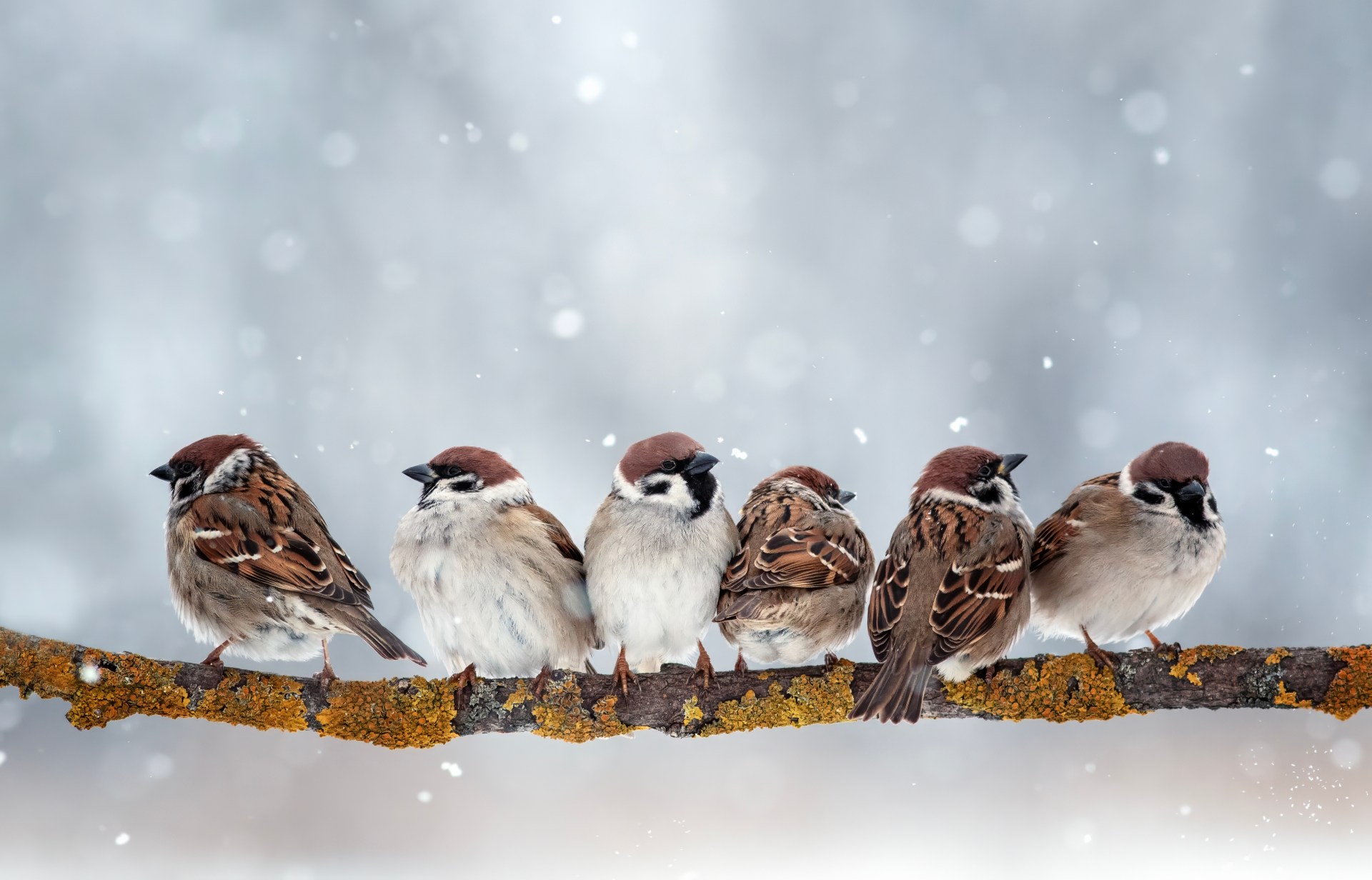 shutterstock_2535252175.jpg