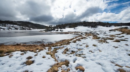 Cytat z Biblii dla ciebie na dziś 
 12 stycznia