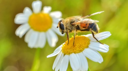 Cytat z Biblii dla ciebie na dziś 
 13 lutego
