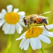 Stickers Item image #0