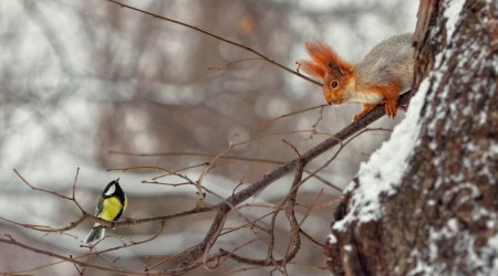 Cytat z Biblii dla ciebie na dziś 
 15 lutego