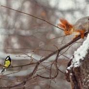 Stickers Item image #1