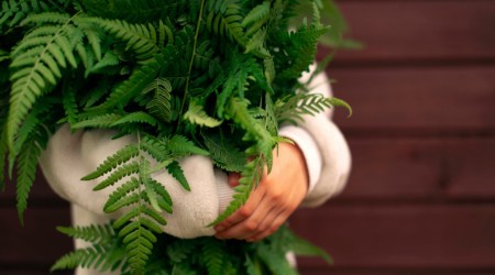 Modlitwa dla ciebie na dziś 
 15 lutego