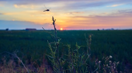Cytat z Biblii dla ciebie na dziś 
 12 lutego