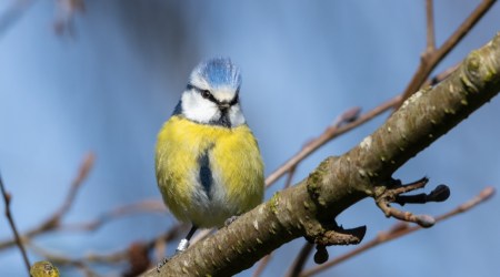 Cytat z Biblii dla ciebie na dziś 
 16 lutego