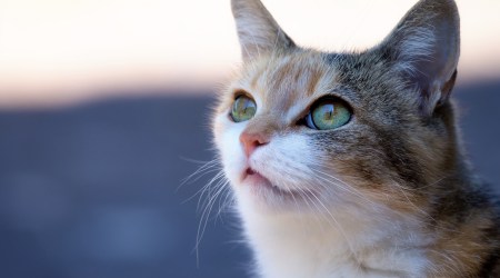 Cytat z Biblii dla ciebie na dziś 
 14 lutego