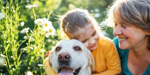 Dziadkowie i wnuki: 6 filarów, które budują trwałą więź międzypokoleniową