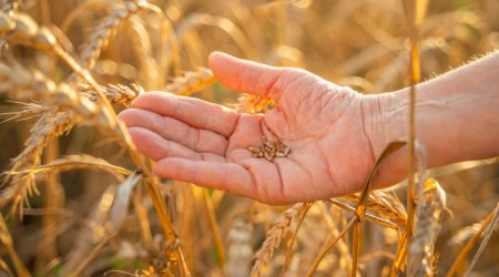 Modlitwa dla ciebie na dziś 
 17 lutego