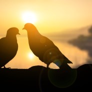 Stickers Item image #1