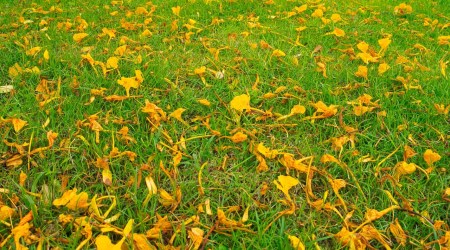 Cytat z Biblii dla ciebie na dziś
13 marca