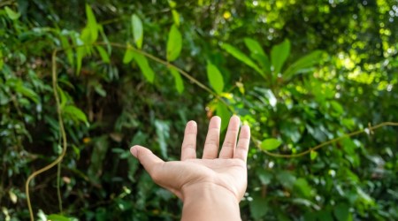 Modlitwa dla ciebie na dziś
14 marca