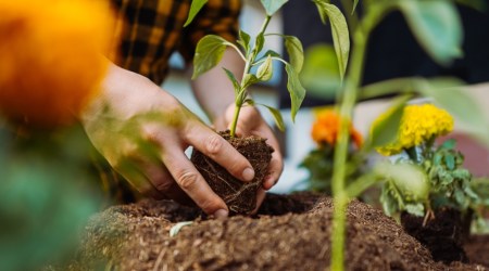 Modlitwa dla ciebie na dziś 
 8 marca
