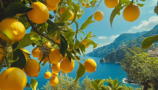 Drzewo pomarańczowe na tle pięknej zatoki