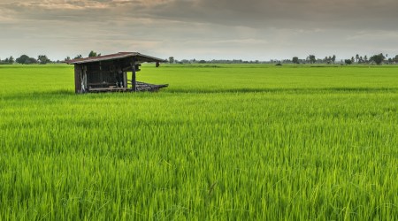Cytat z Biblii dla ciebie na dziś
10 marca