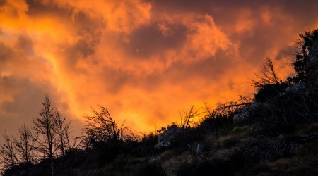 Cytat z Biblii dla ciebie na dziś
12 marca