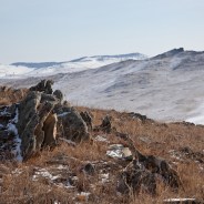 Stickers Item image #3