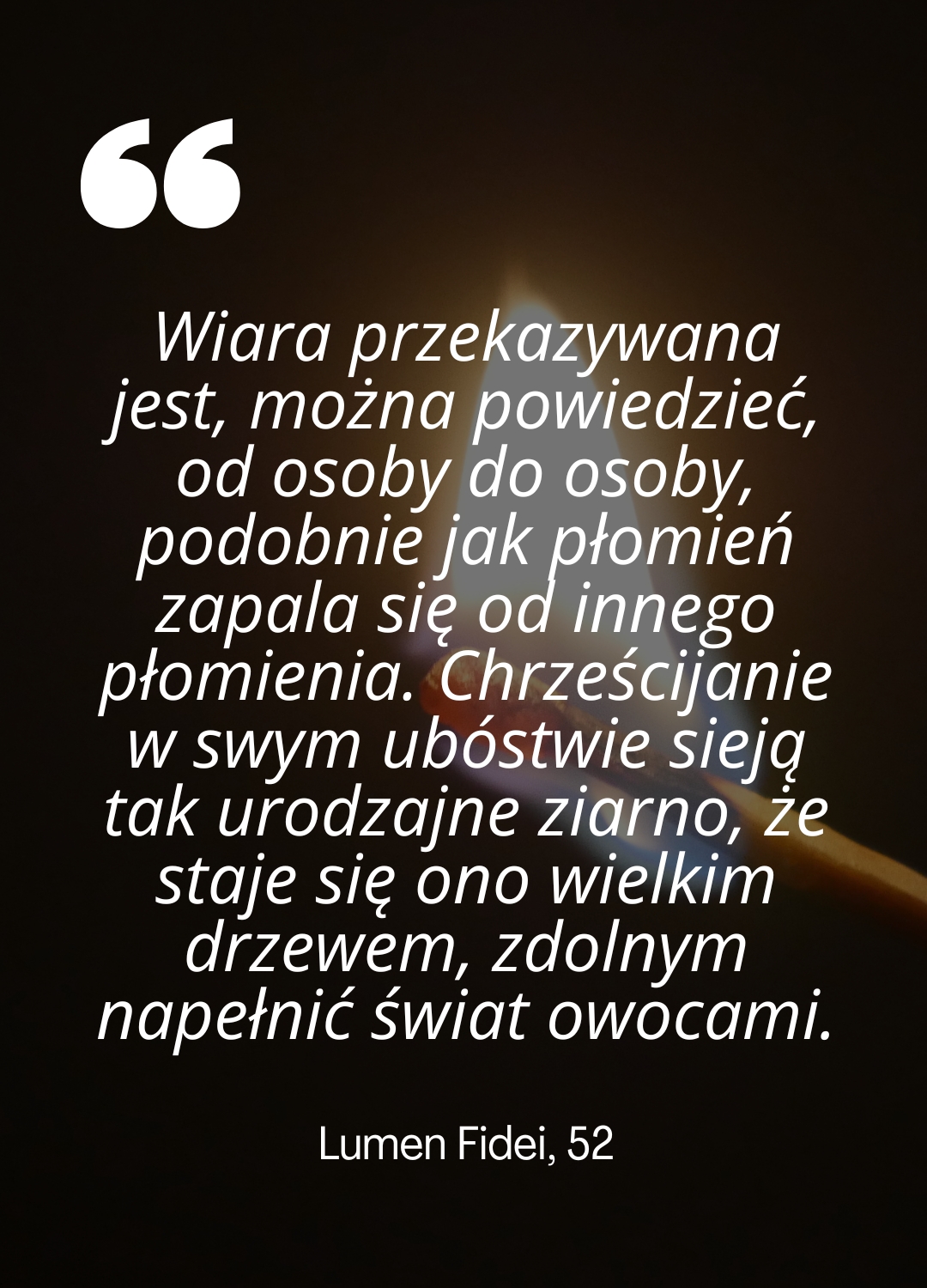 11_c8ec58.jpg