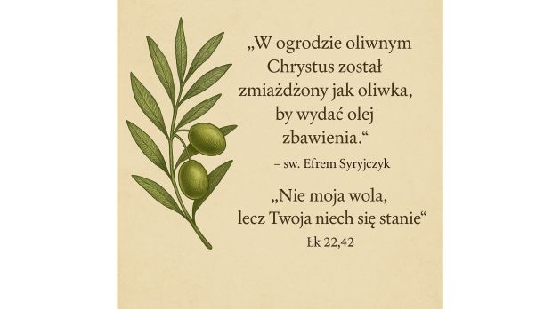 Ogród Getsemani na Górze Oliwnej. Czym było to miejsce?
