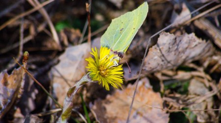 Cytat z Biblii dla ciebie na dziś 
 16 kwietnia
