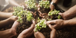 Kościół to zebranie, Ciało i wspólnota [Majówka z Aleteią – 3 maja]