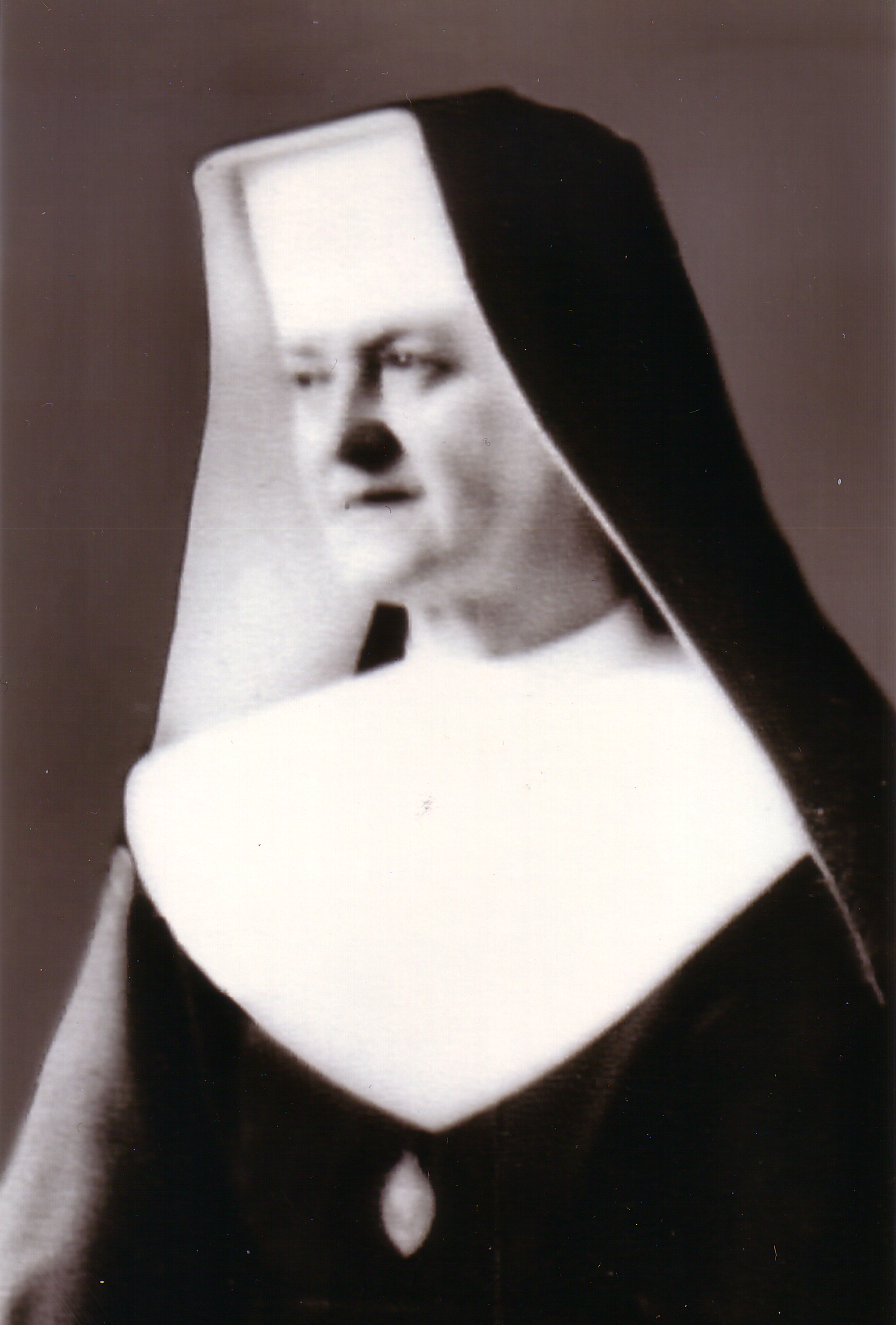 Siostry katarzynki