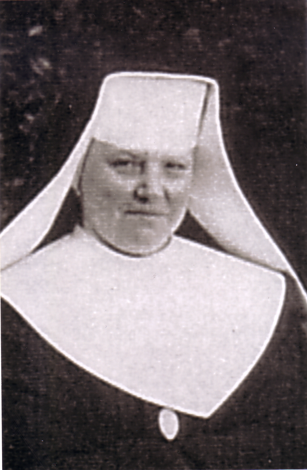 Siostry katarzynki