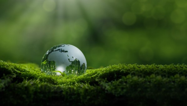 Corner Item Image - Stworzenie rodzi Stwórcę [Majówka z Aleteią – 10 maja]