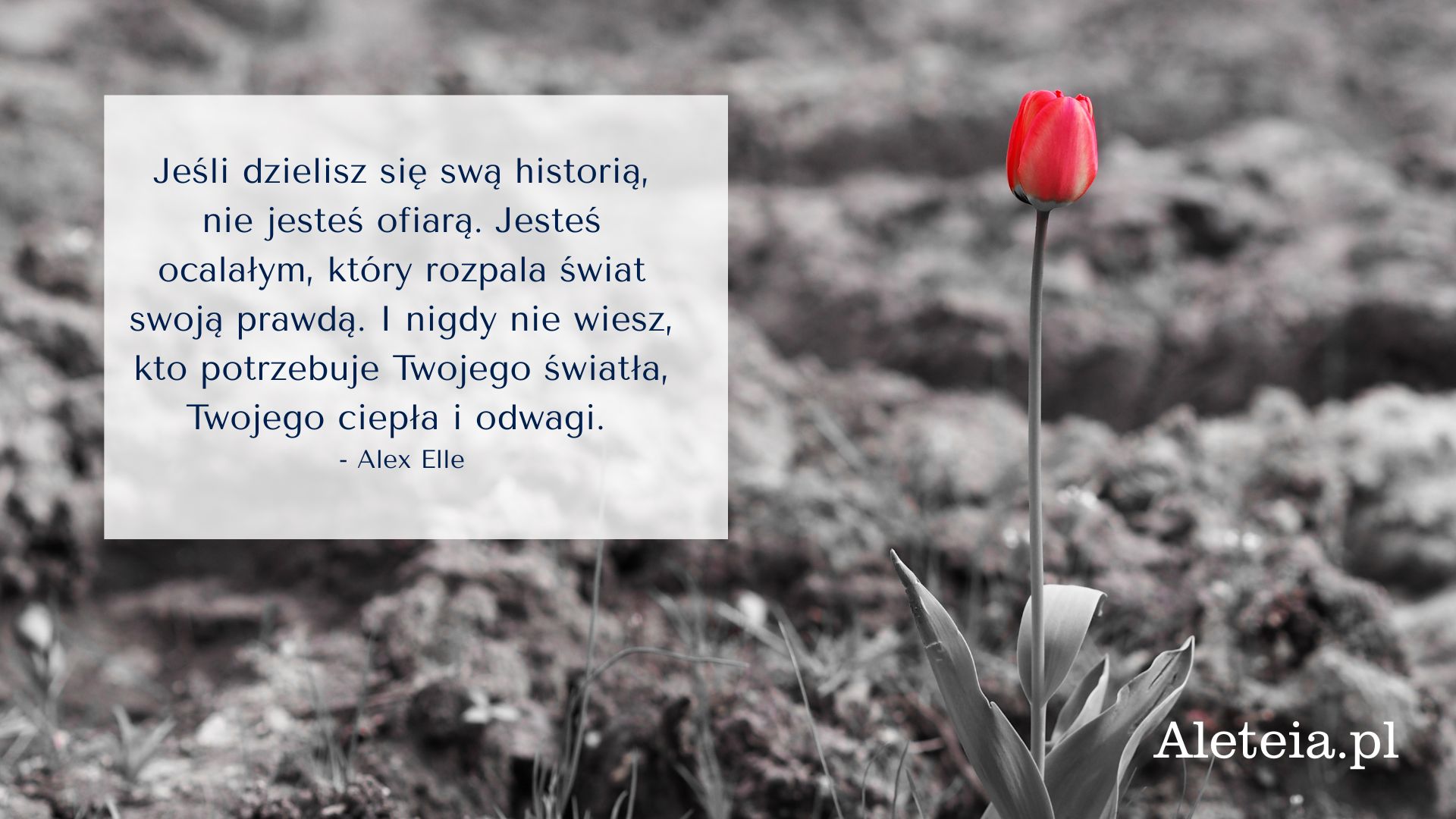 ofiary-przemocy-3.jpg