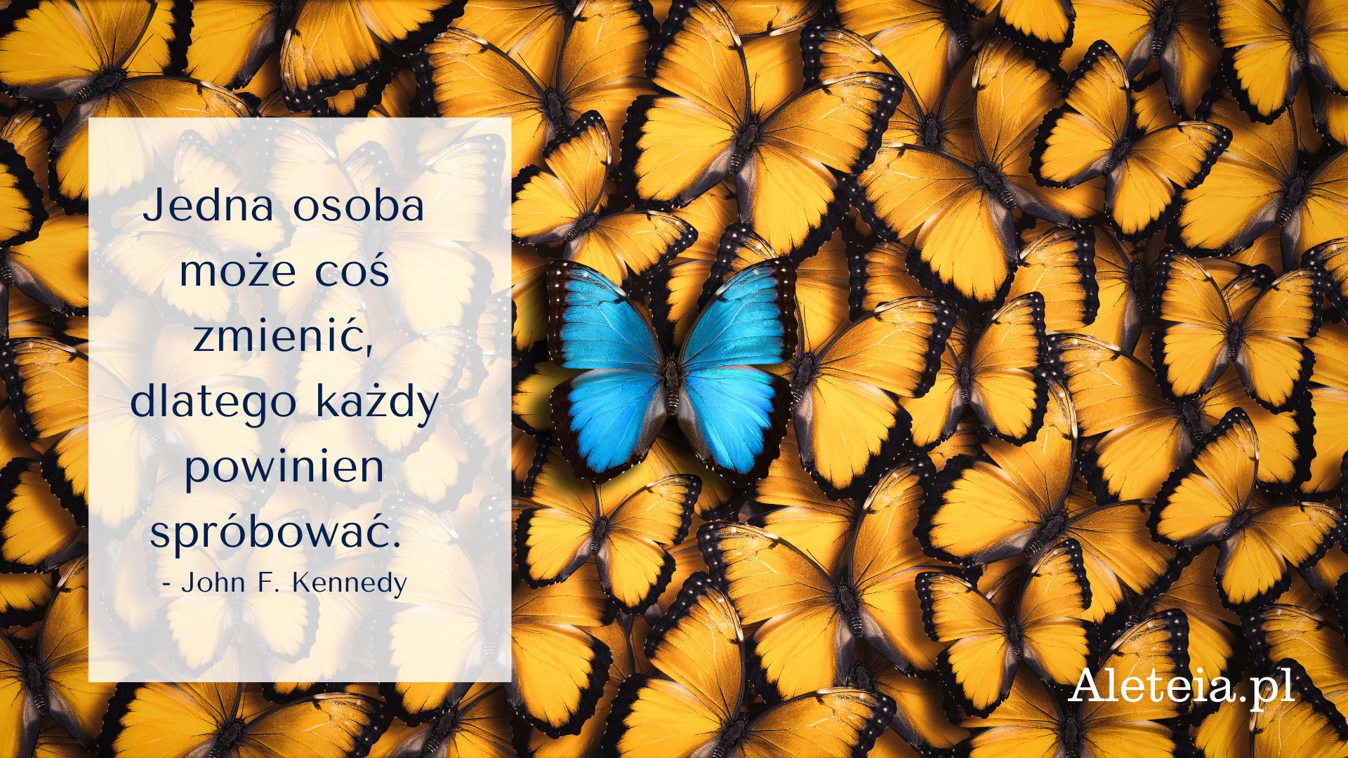 ofiary-przemocy-7.jpg