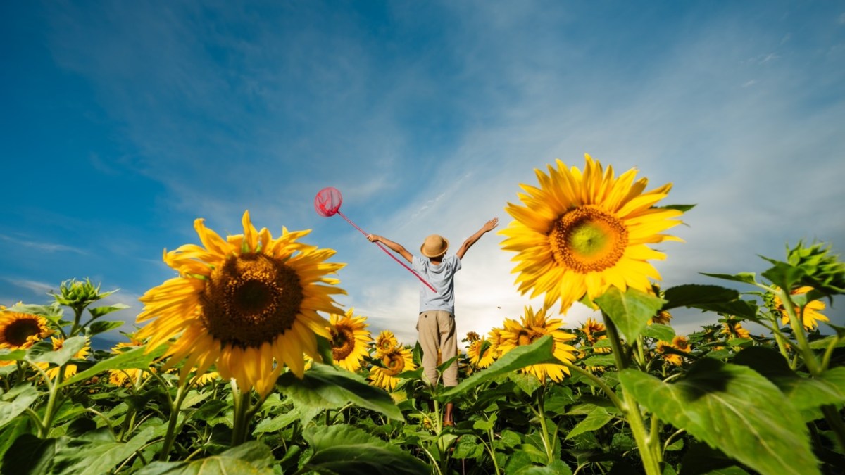 shutterstock_2138644351-Duzy.jpeg