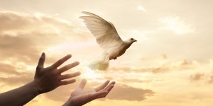 Już jutro post w intencji pokoju na świecie. Apel papieża Leona