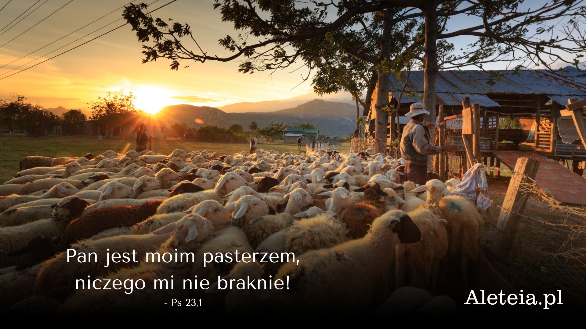 {"rendered":"8 biblijnych sposob\u00f3w na pokonanie l\u0119ku [galeria]"}