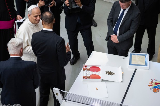 pope-leo-xiv-audience-paul-vi-hall-august-20-2025