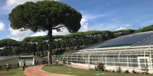 Niezwykły projekt na 10 lat encykliki Laudato si. Niespodzianka papieża Leona