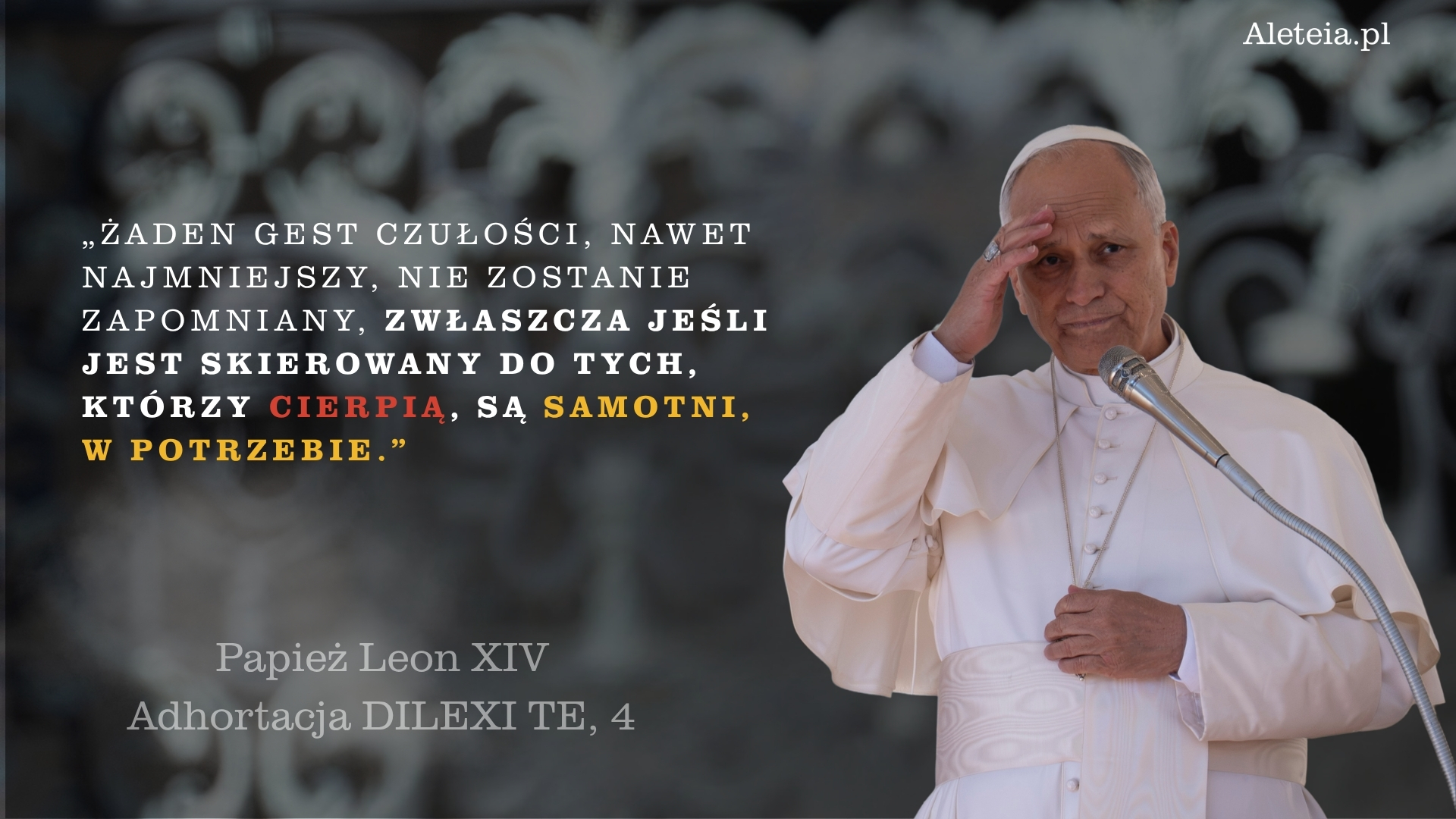 {"rendered":"Papiez\u0307 Leon XIV Adhortacja DILEXI TE [galeria]"}