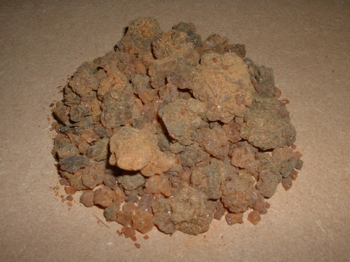 100 g mirry pochodzącej z Zufaru (Oman)