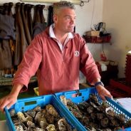 Stickers Item image #5