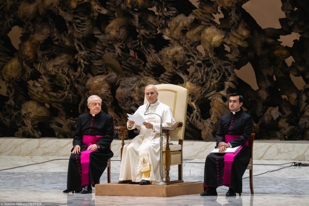 pope-leo-xiv-audience-paul-vi-hall