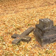 Stickers Item image #8