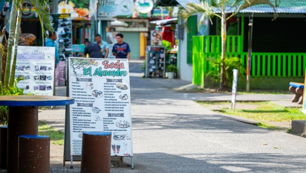Corner Item Image - Jaskółka nadziei. Zwycięstwo cywilizacji życia w tym dalekim kraju