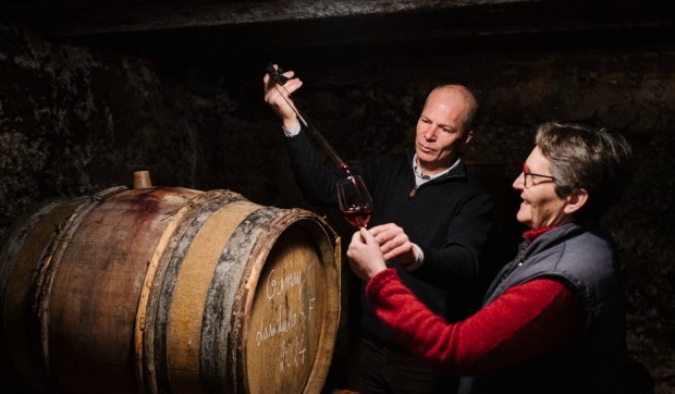 Corner Hero Image - To ich wina użył papież Leon XIV podczas Mszy Św w Monako